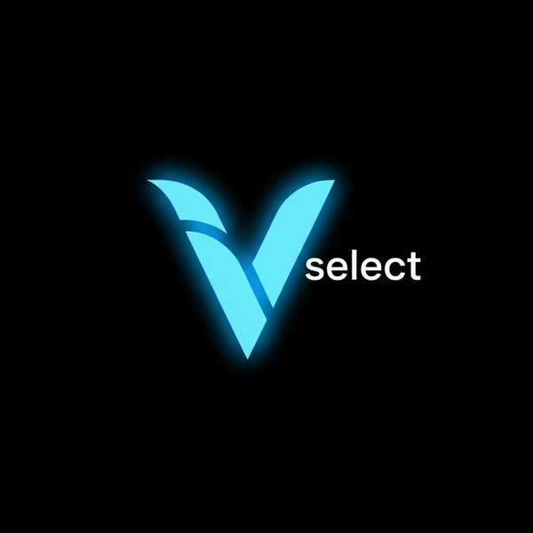 VintedSelect